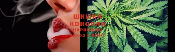 стаф Абаза