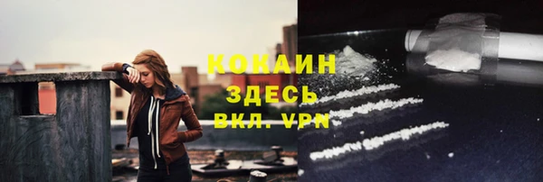 стаф Абаза
