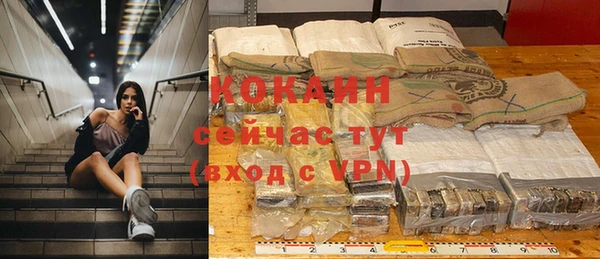 стаф Абаза