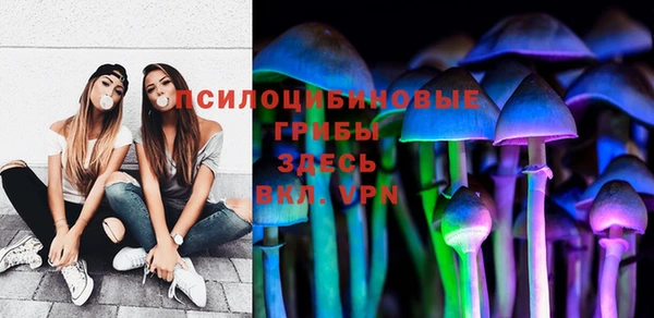 стаф Абаза