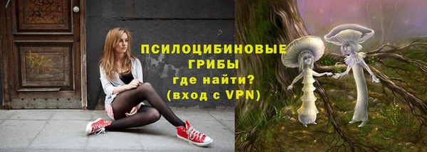ECSTASY Алексин