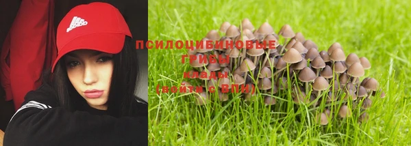твердый Абинск